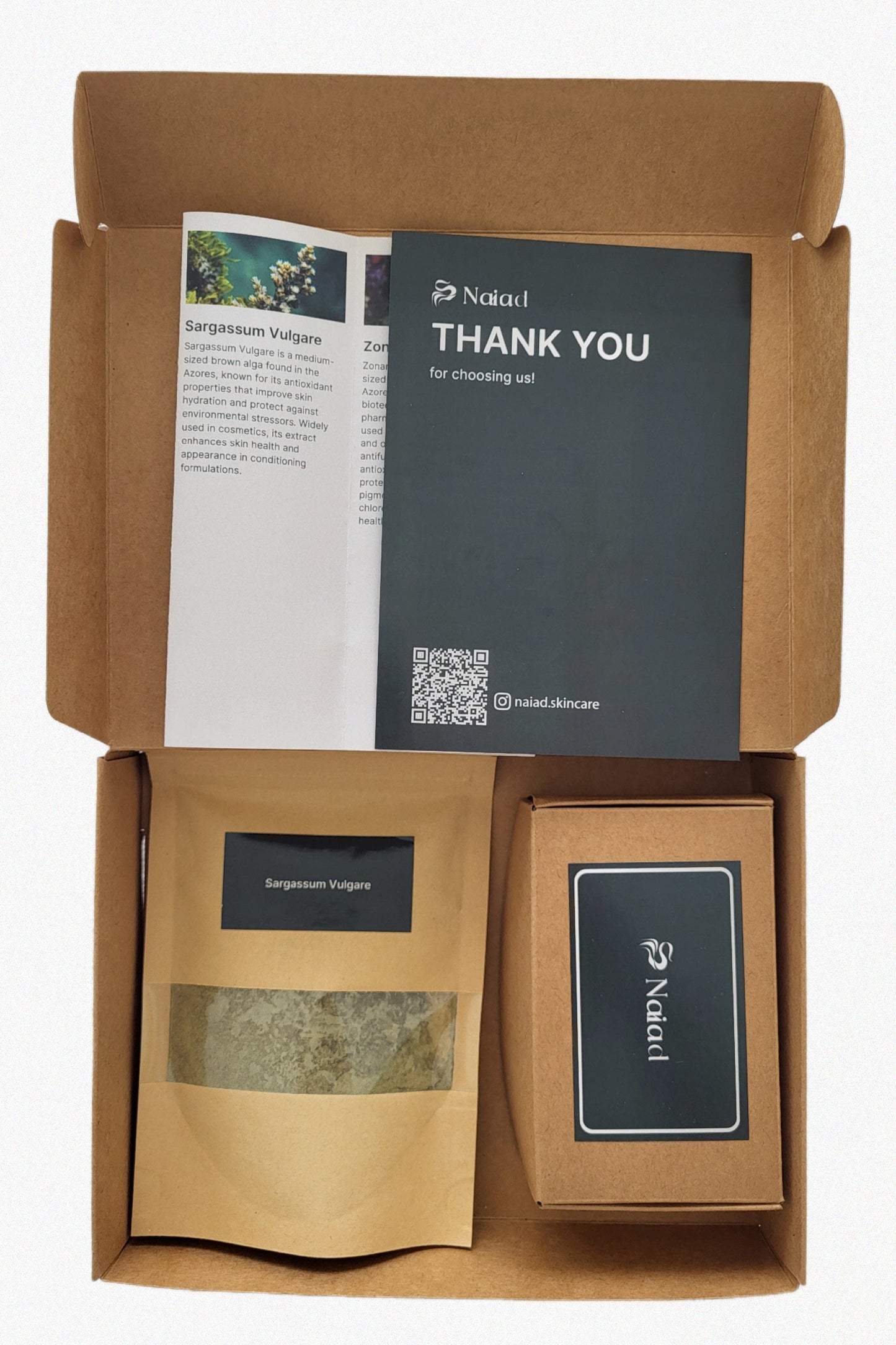 Sargassum vulgare Seaweed DIY Kit – Large (80 g)