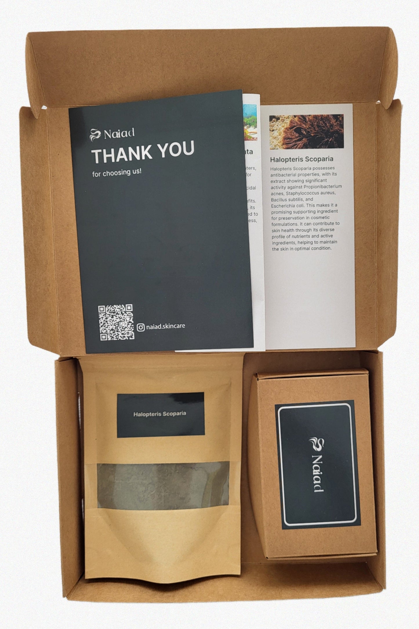 Halopteris scoparia Seaweed DIY Kit – Large (80 g)