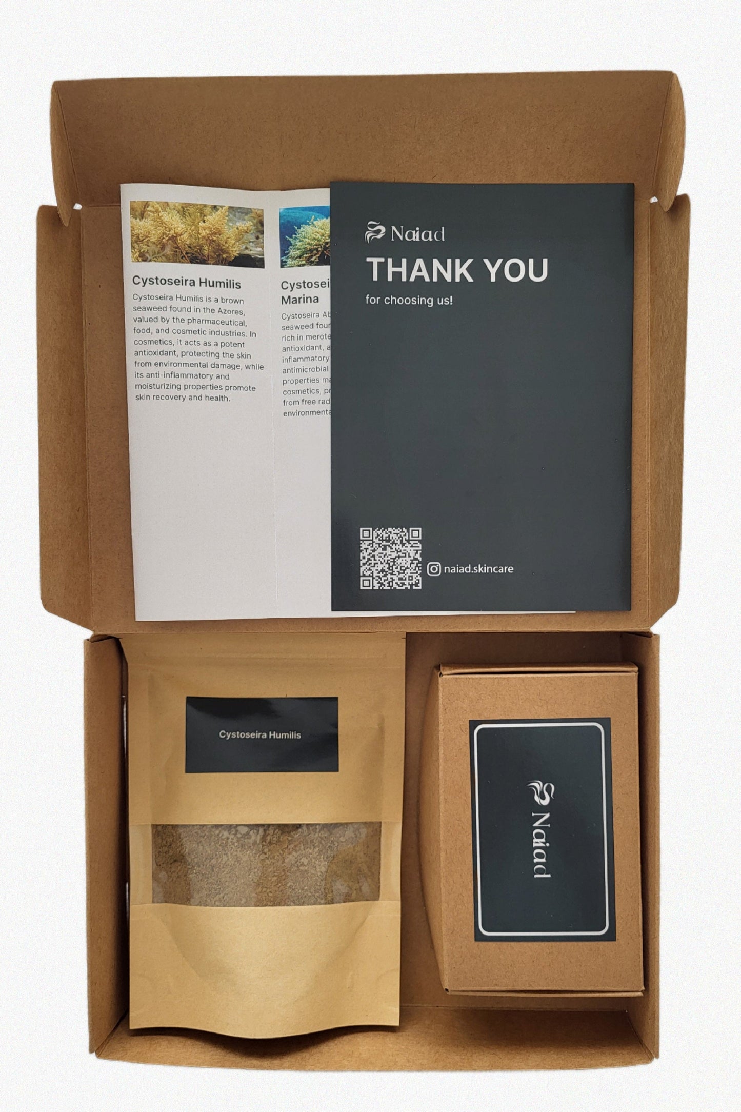 Cystoseira humilis Seaweed DIY Kit – Large (80 g)