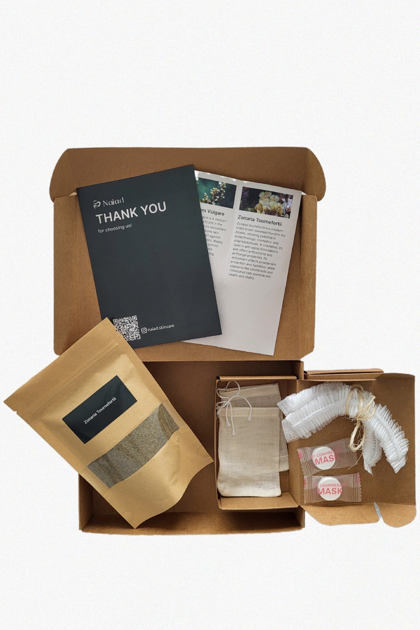 Zonaria tournefortii Seaweed DIY Kit – Large (80 g)