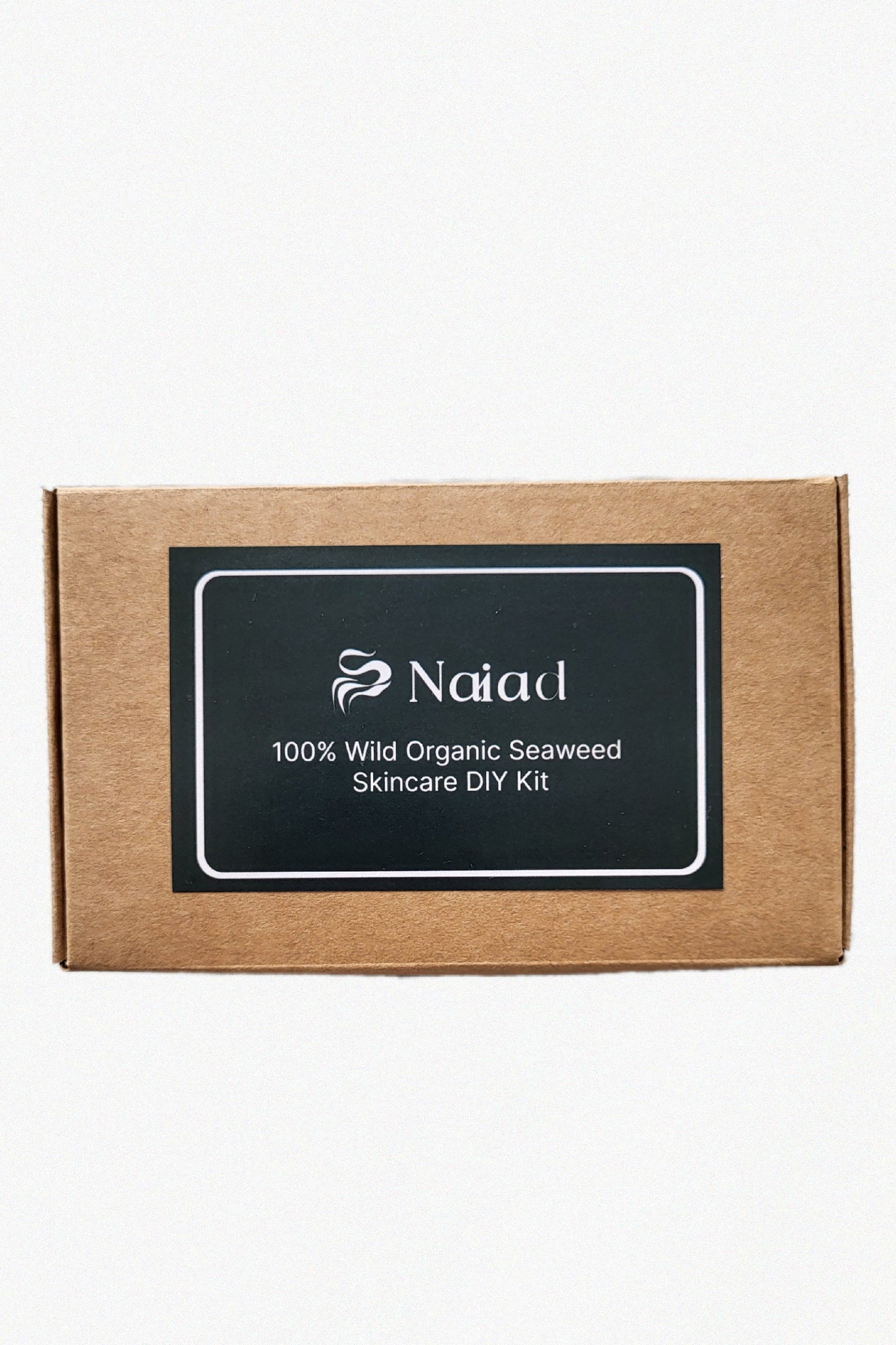 Cystoseira humilis Seaweed DIY Kit – Small (10 g)