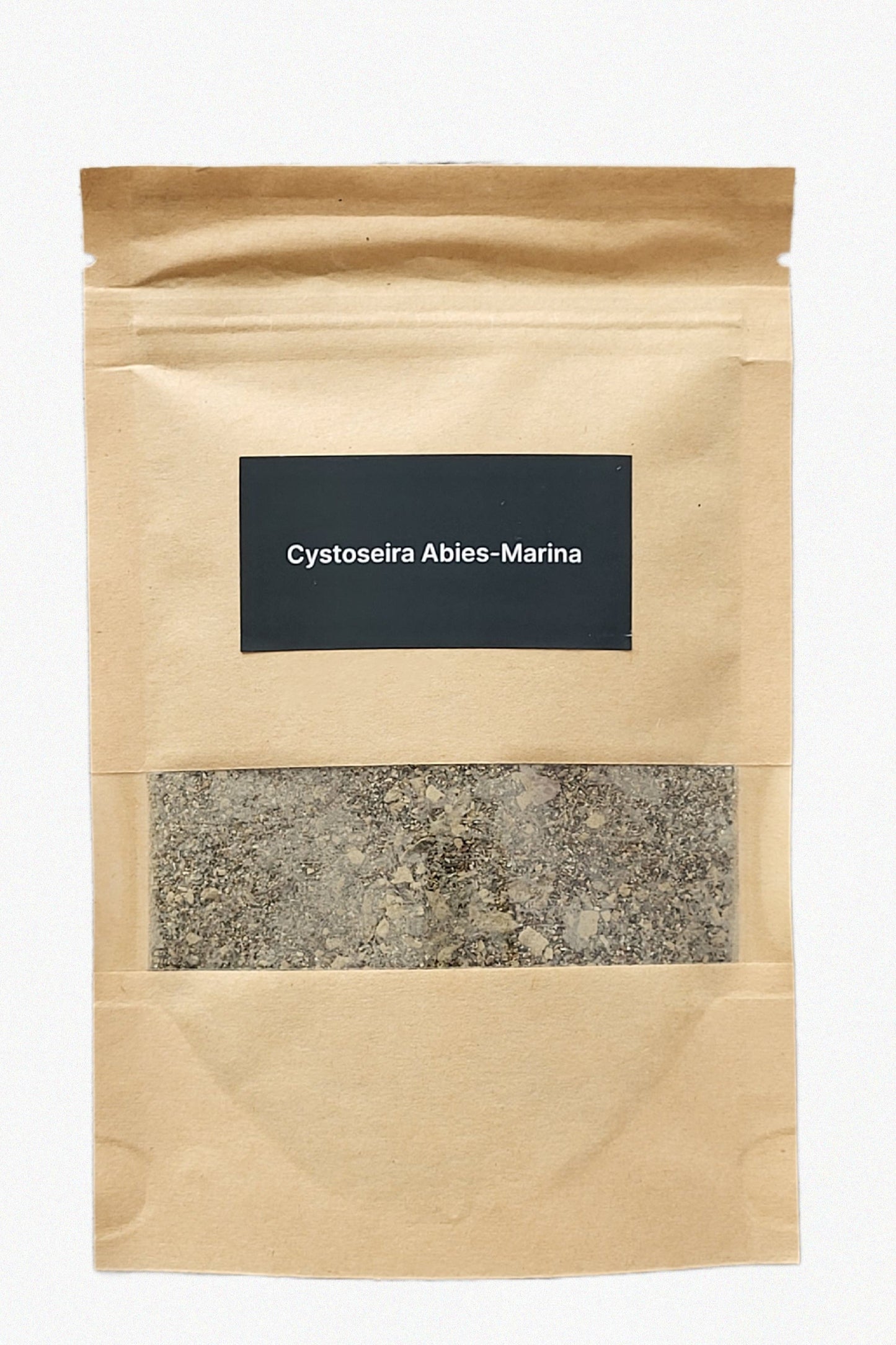 Cystoseira abies‑marina Seaweed DIY Kit – Large (80 g)