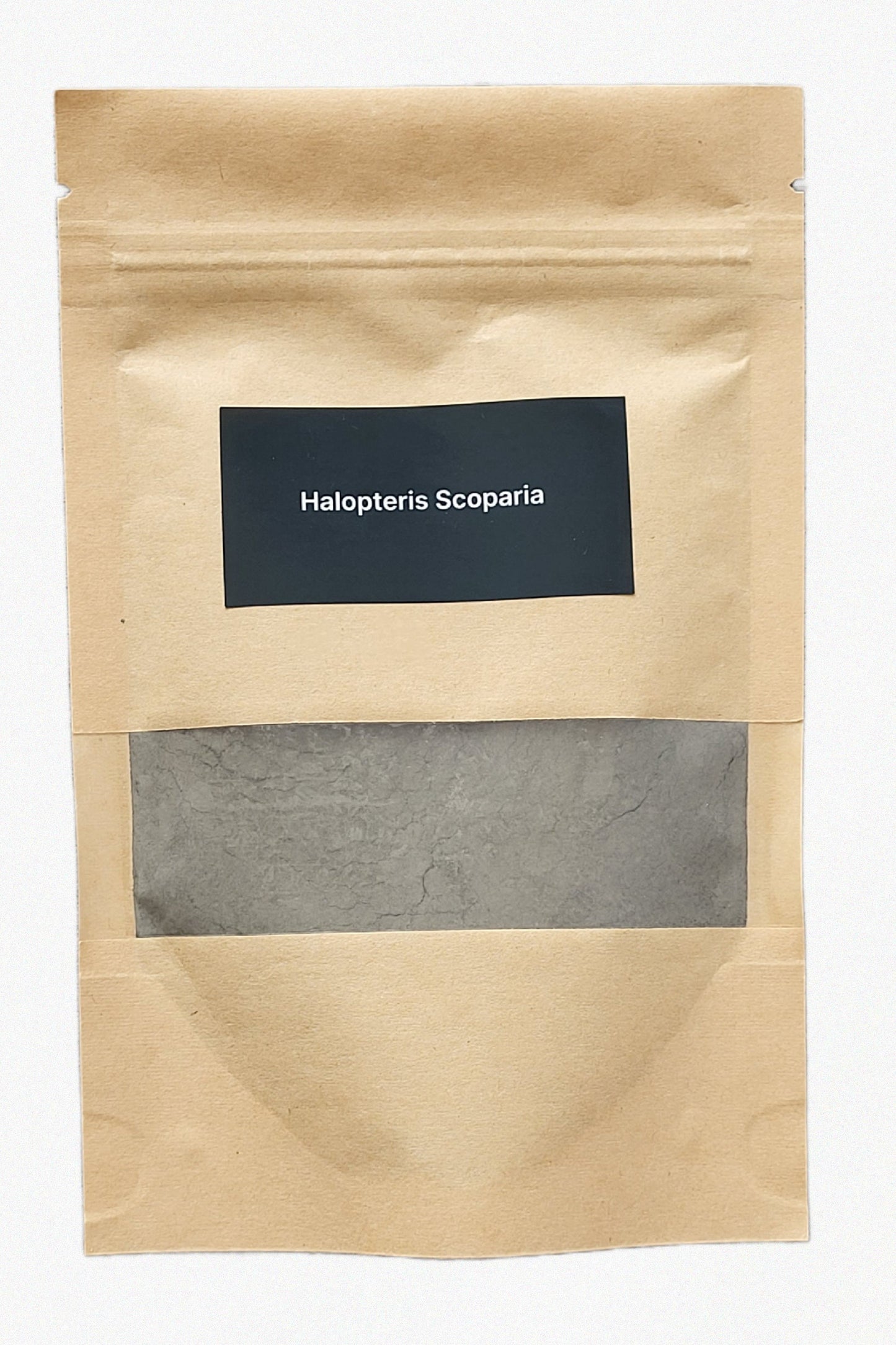 Halopteris scoparia Seaweed DIY Kit – Large (80 g)