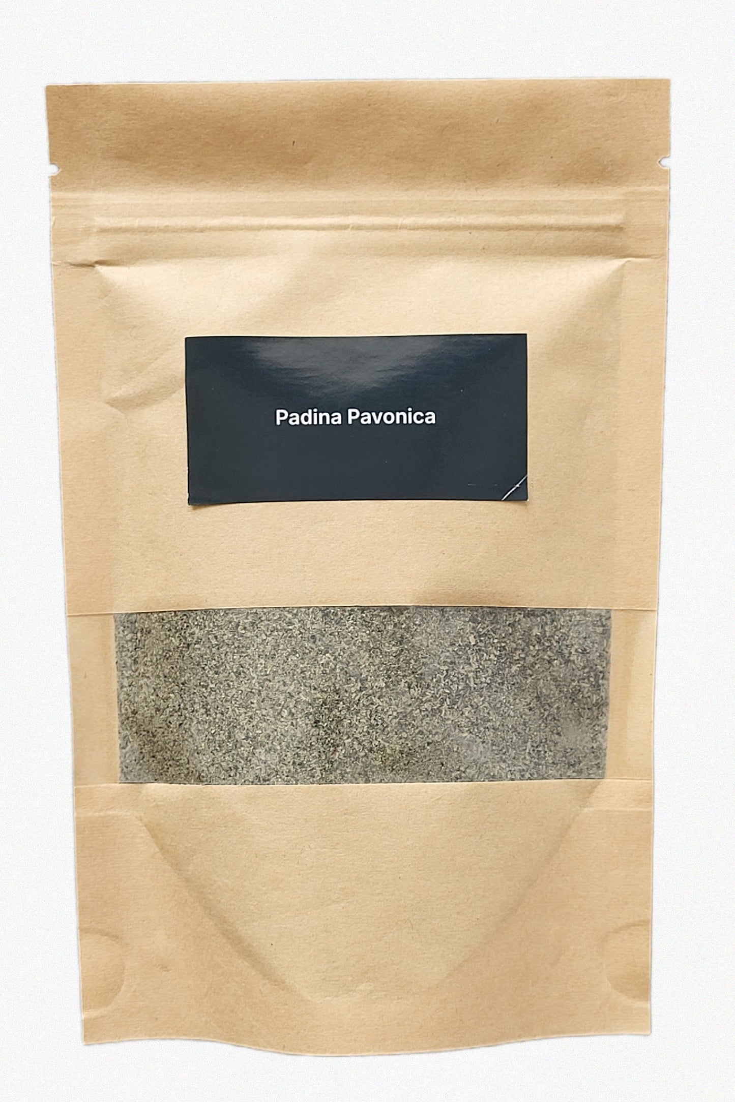 Padina pavonica Seaweed DIY Kit – Large (80 g)