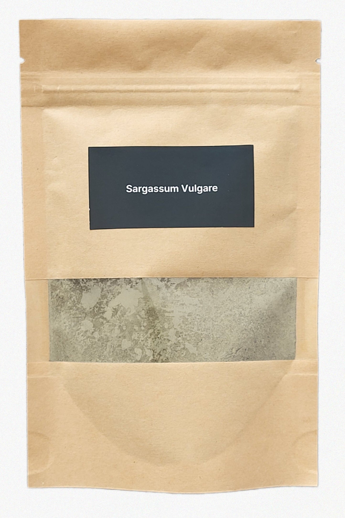 Sargassum vulgare Seaweed DIY Kit – Large (80 g)