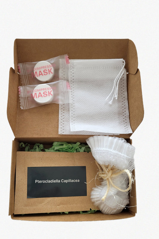Pterocladiella capillacea Seaweed DIY Kit – Small (10 g)