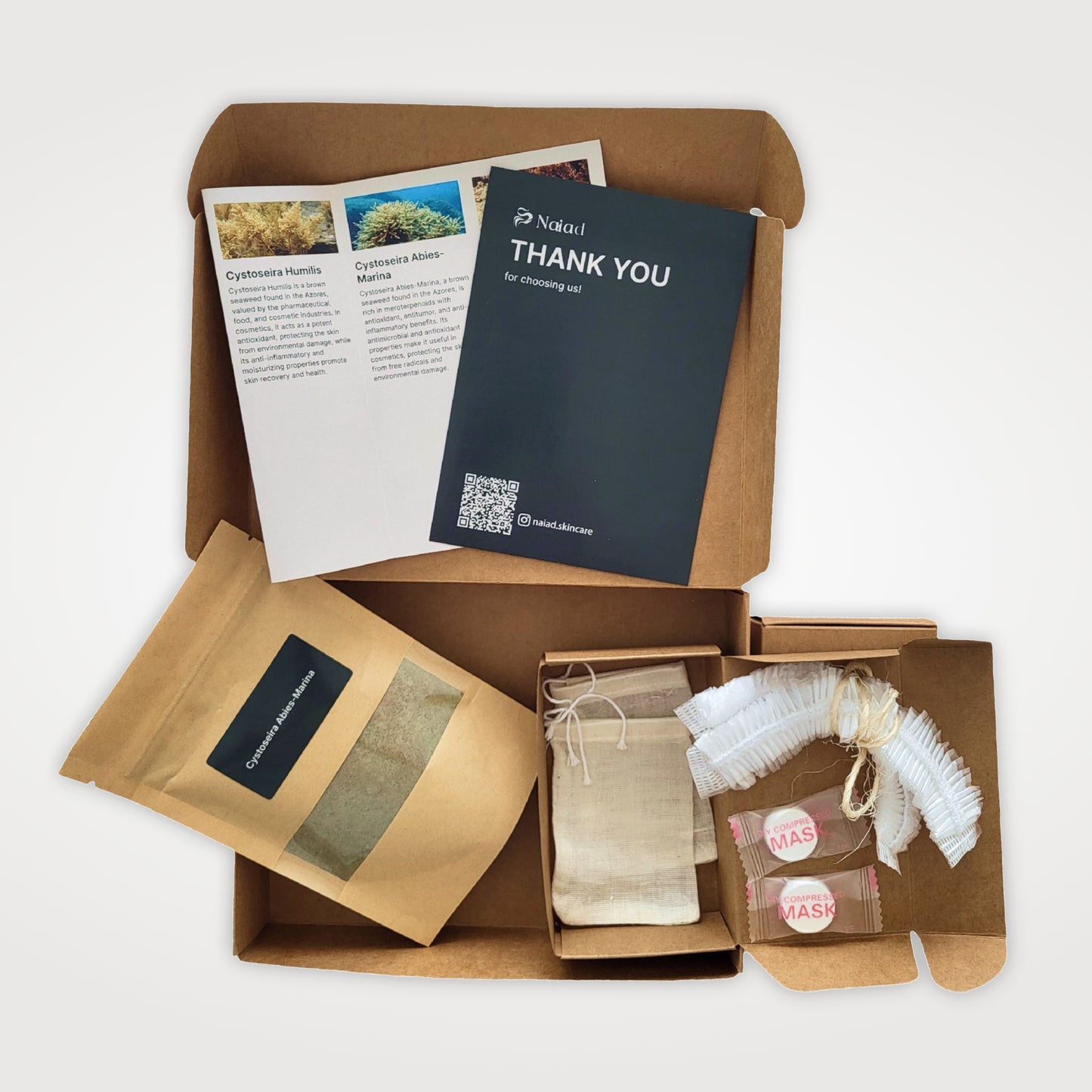 Cystoseira abies‑marina Seaweed DIY Kit – Large (80 g)