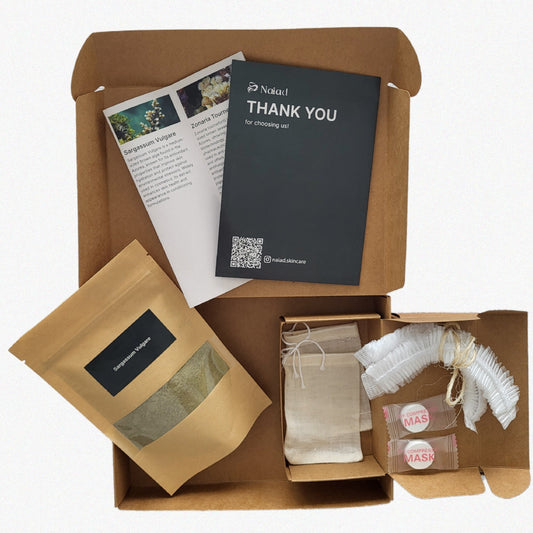 Sargassum vulgare Seaweed DIY Kit – Large (80 g)