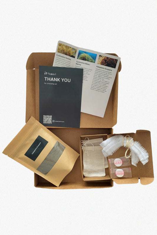 Halopteris scoparia Seaweed DIY Kit – Large (80 g)