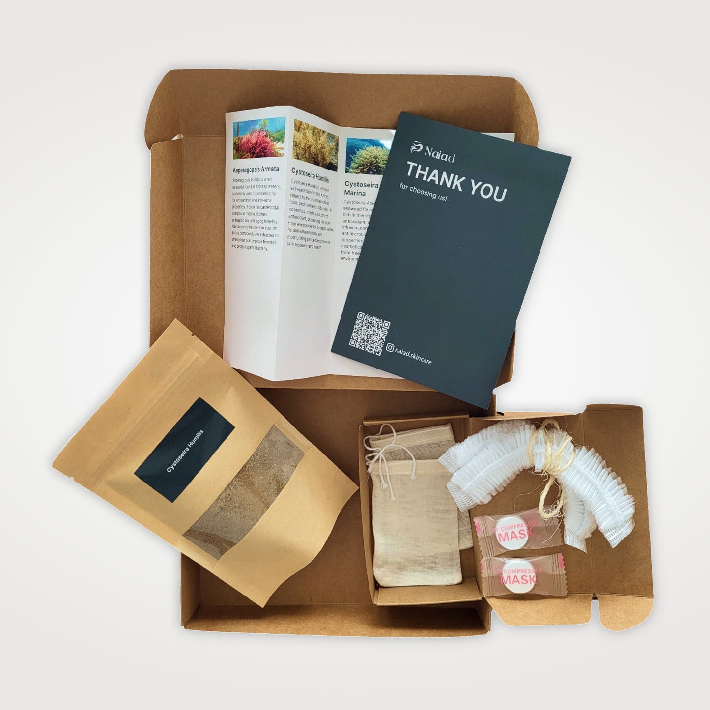 Cystoseira humilis Seaweed DIY Kit – Large (80 g)