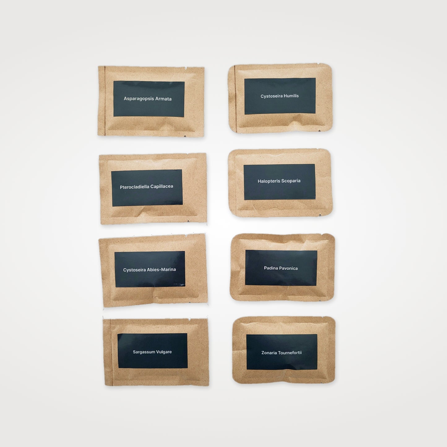 Seaweed Face & Body DIY Kit – 8‑Variety Blend