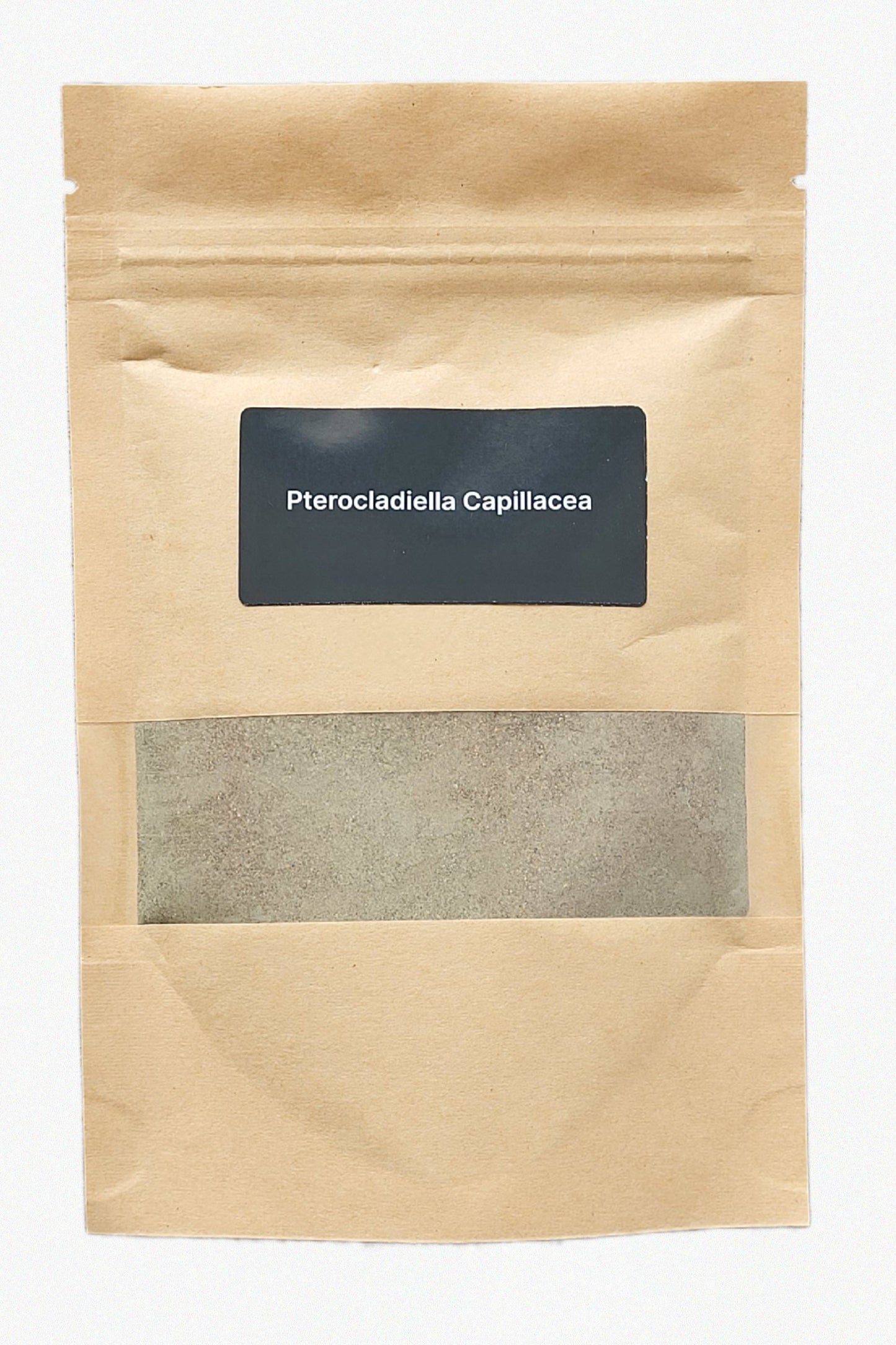 Pterocladiella capillacea Algen-DIY-Set – Groß (80 g)